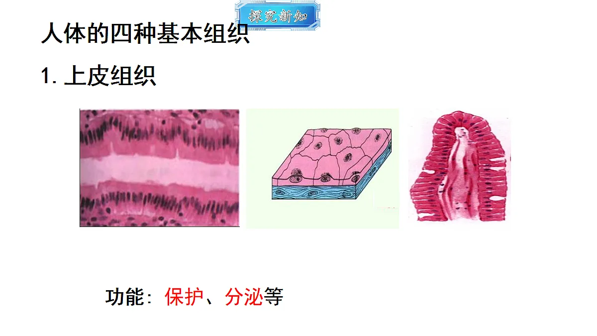 18493720第5页