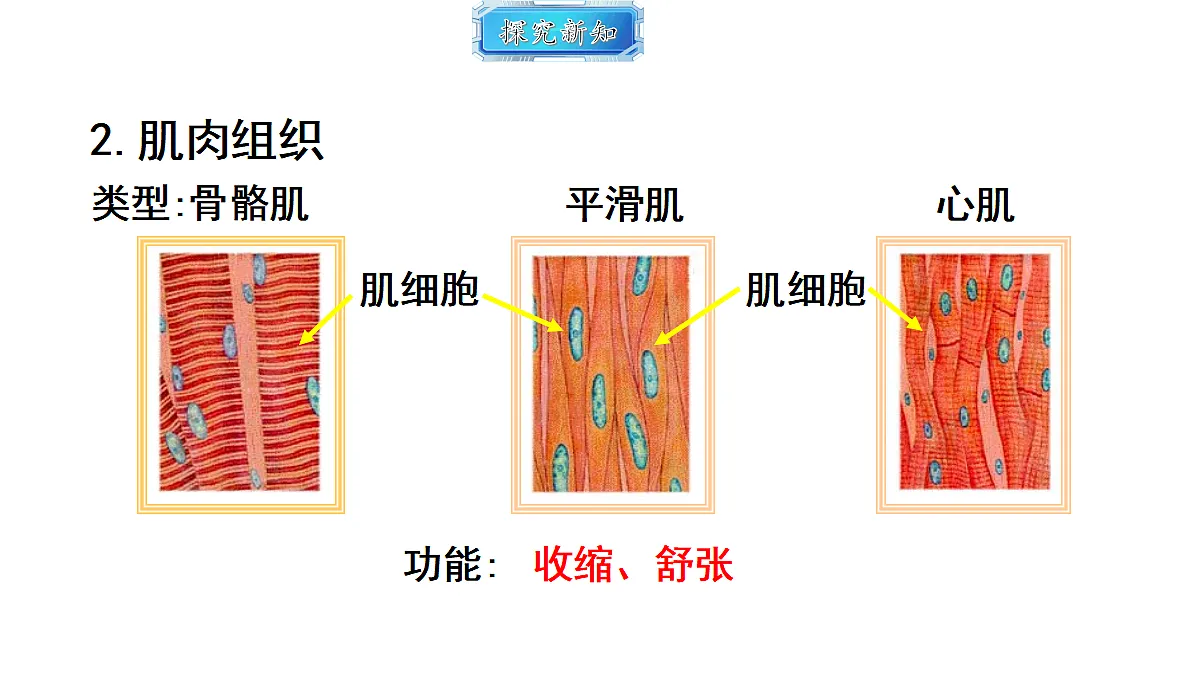 18493720第6页