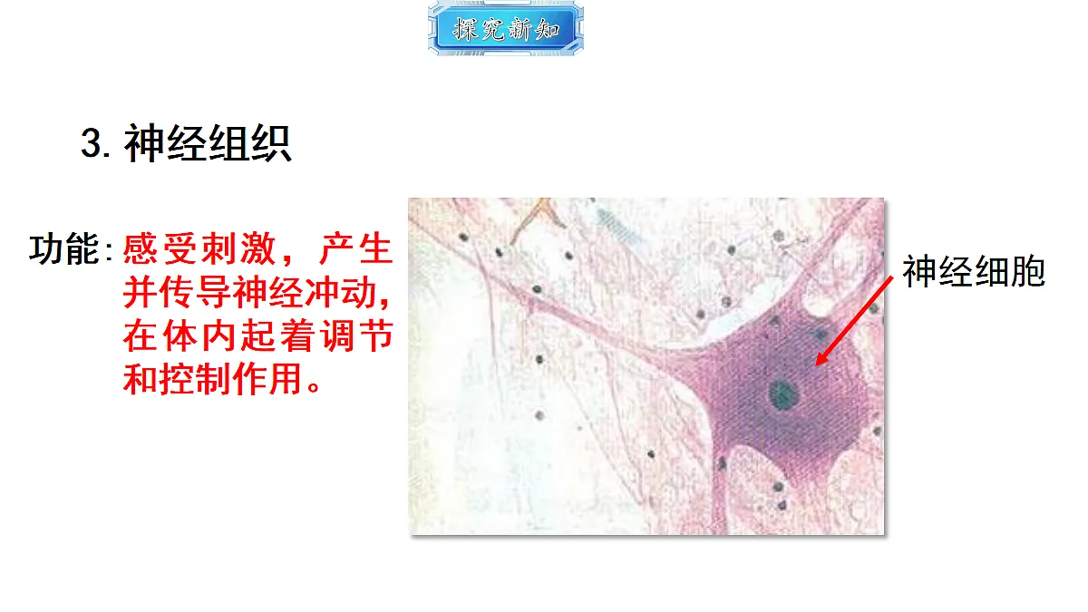 18493720第7页