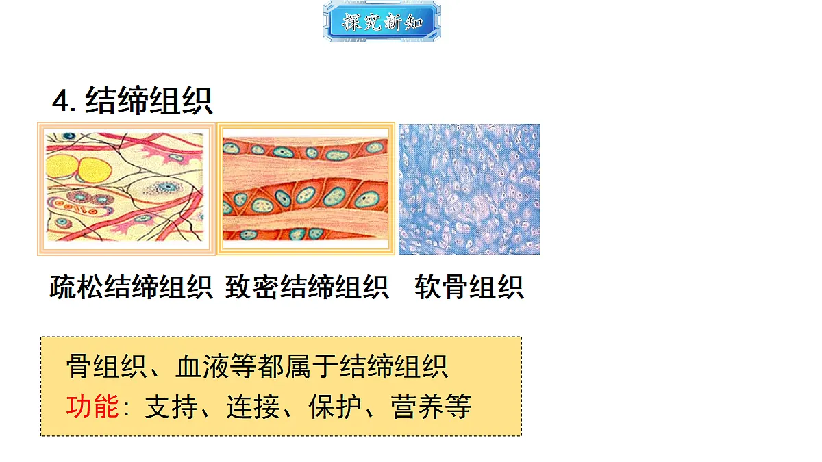 18493720第8页