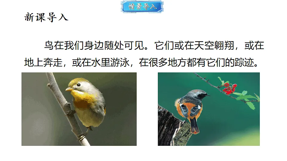 18493734第2页