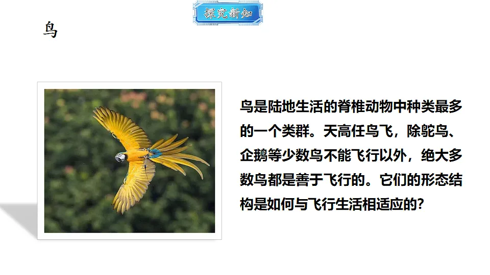 18493734第3页