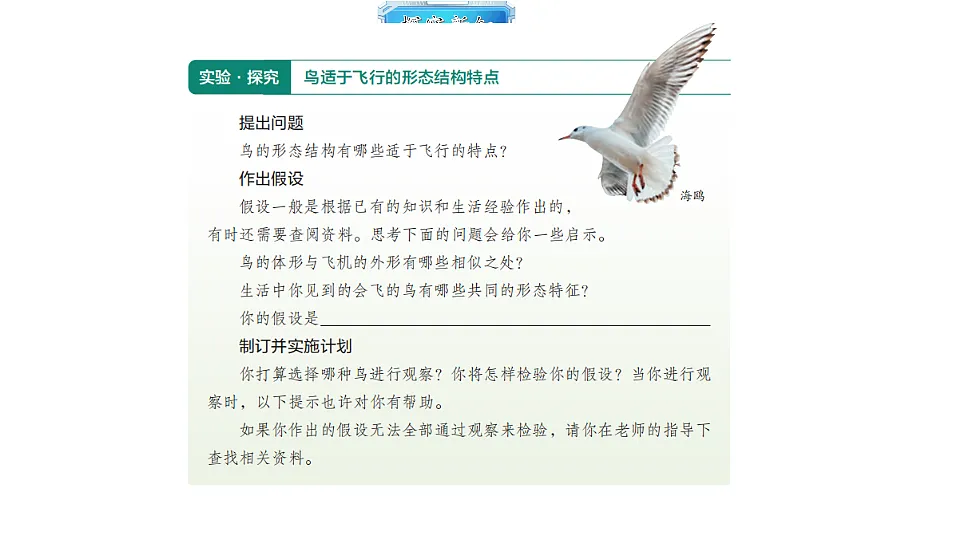 18493734第4页