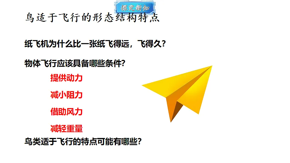 18493734第5页