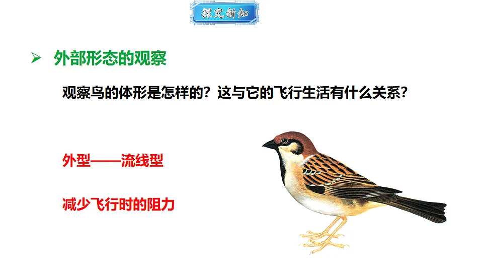 18493734第6页