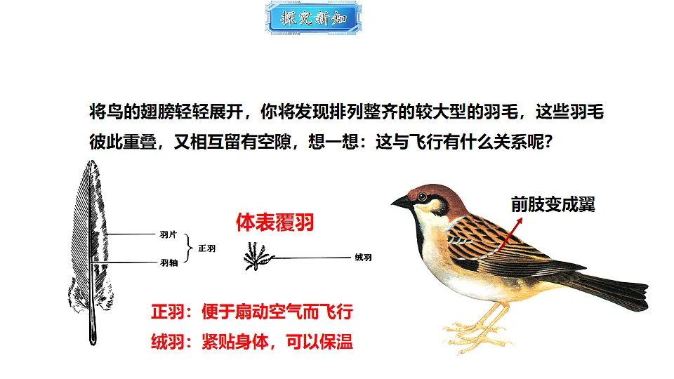 18493734第8页