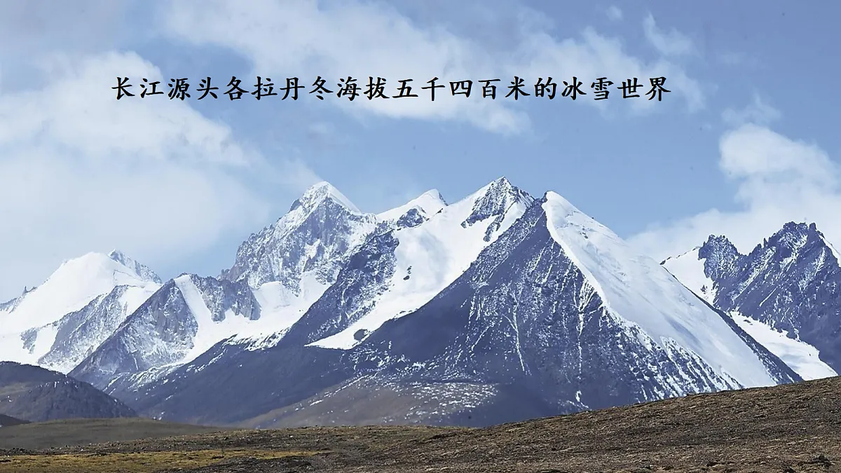 18493830第2页