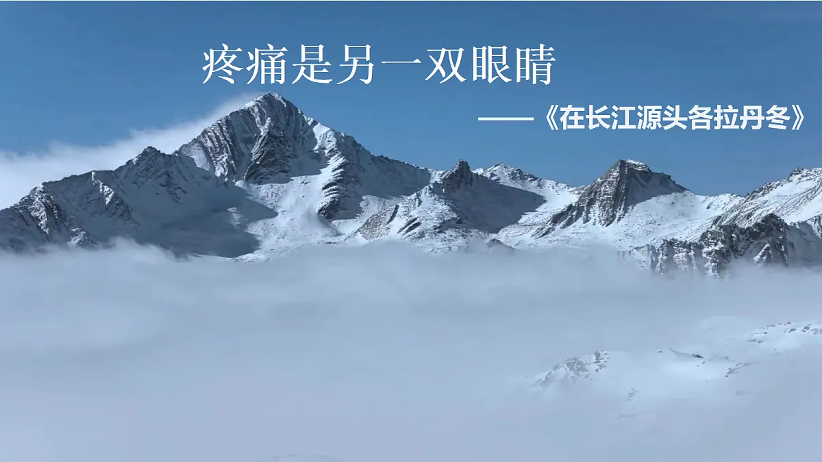 18493830第5页