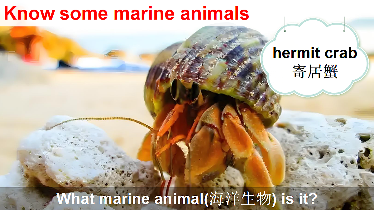 18493873第3页
