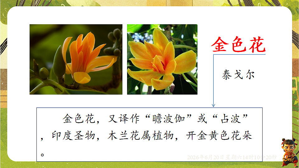 18494499第3页