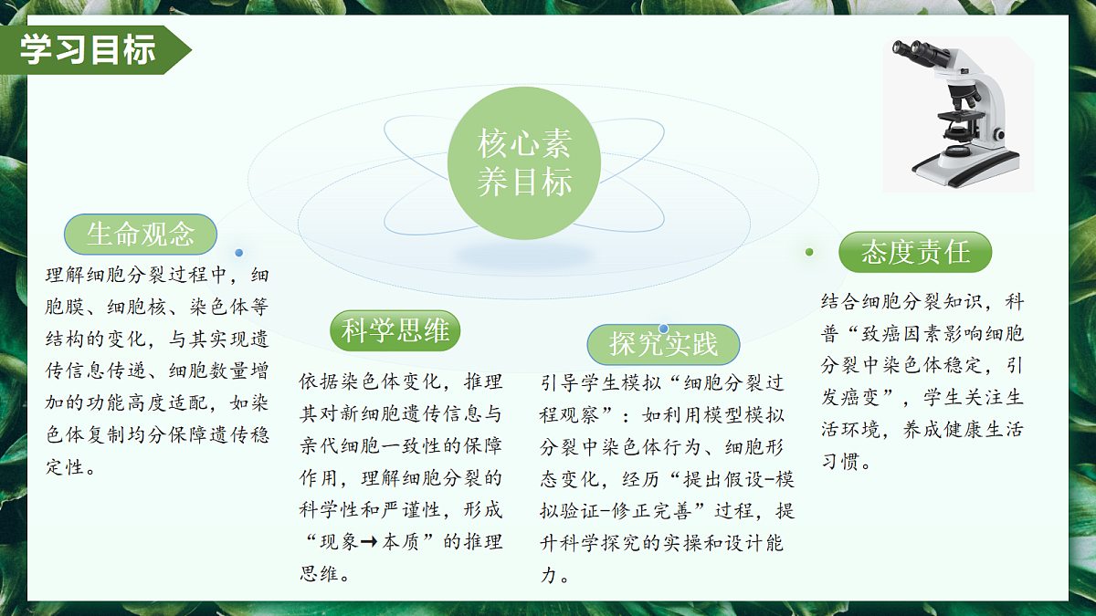 1.3.1 细胞通过分裂产生新细胞 - 初中生物七年级上册 同步教学课件(人教版2024)第3页