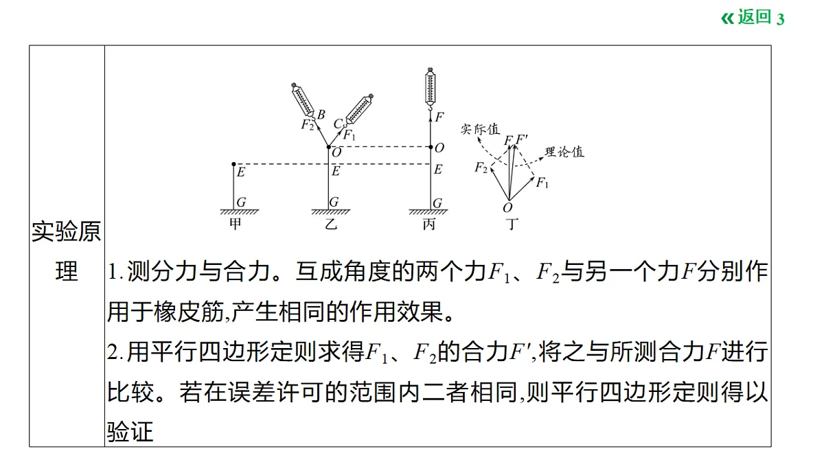 18495451第3页