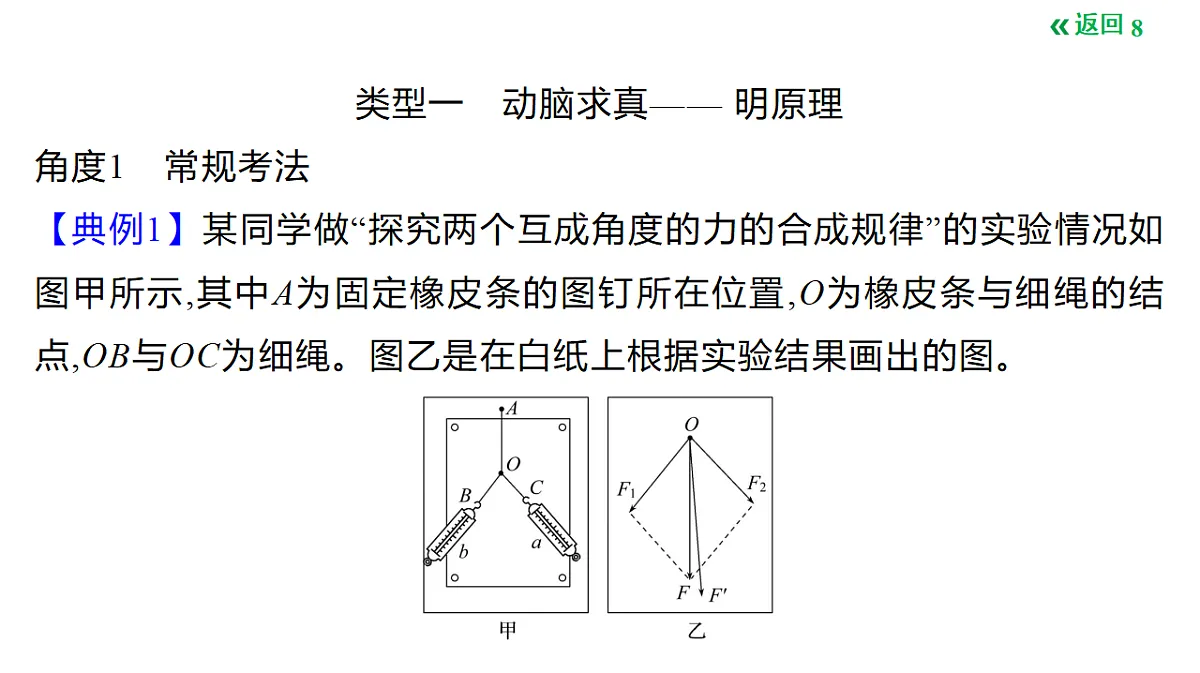 18495451第8页