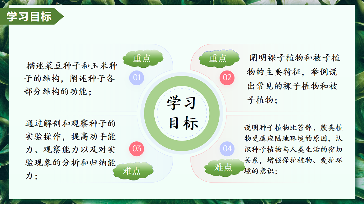 2.1.2 种子植物 - 初中生物七年级上册 同步教学课件(人教版2024)第2页