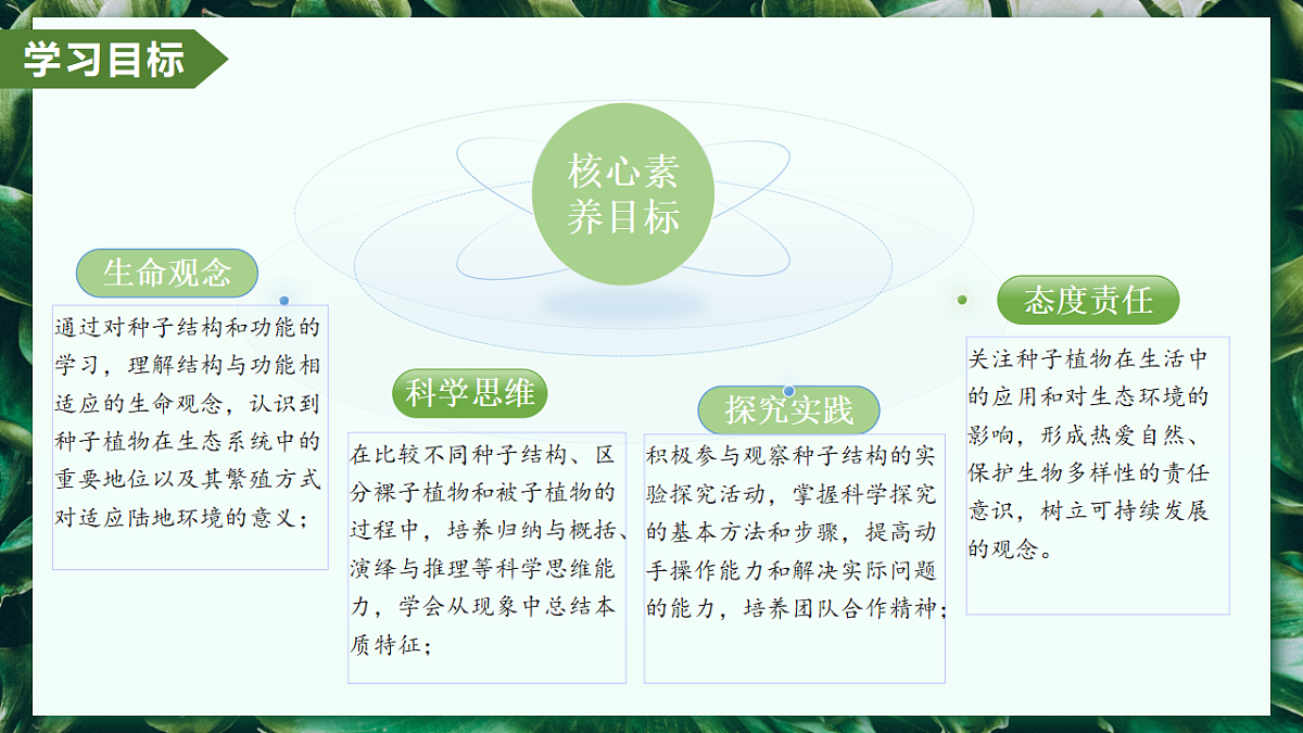 2.1.2 种子植物 - 初中生物七年级上册 同步教学课件(人教版2024)第3页