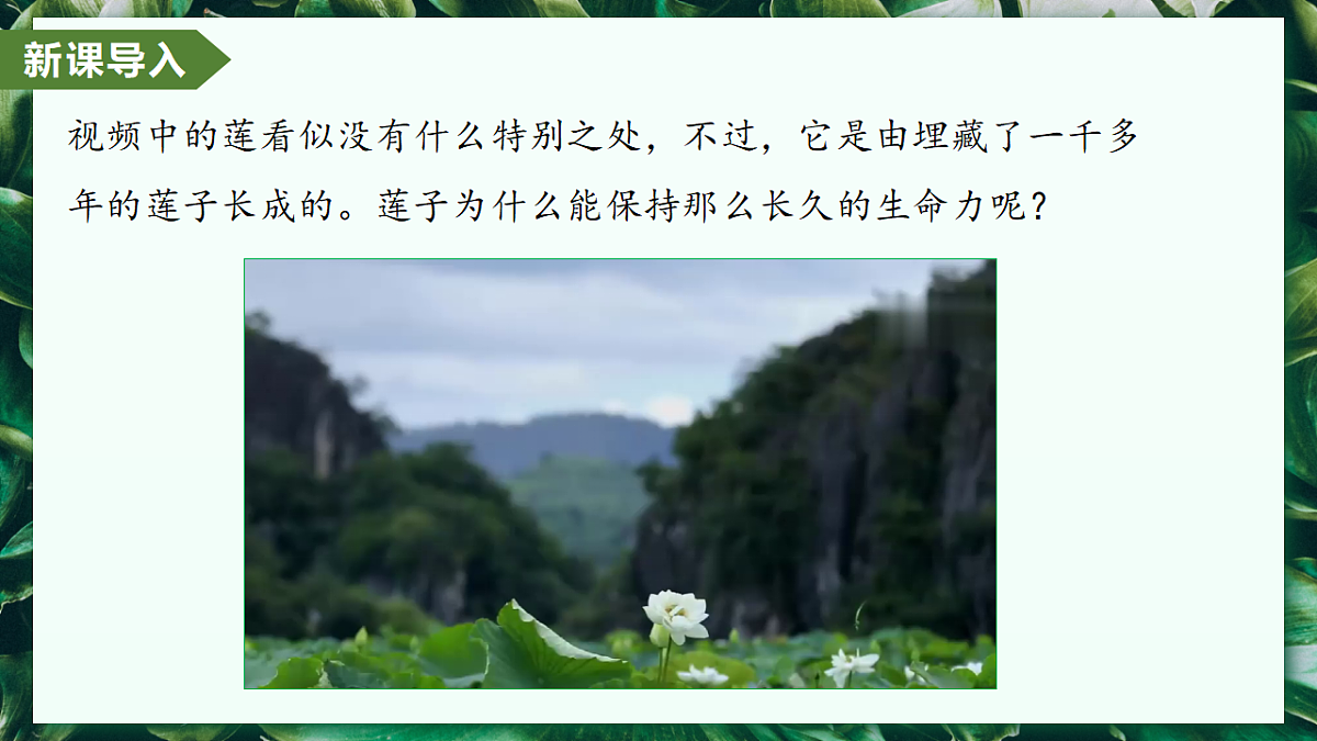 2.1.2 种子植物 - 初中生物七年级上册 同步教学课件(人教版2024)第4页