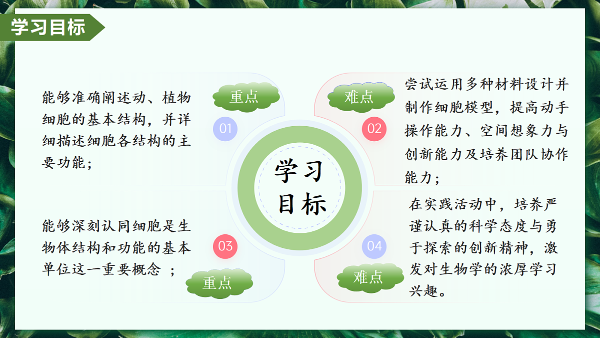 第一单元 第三章 综合实践项目 制作细胞模型 - 初中生物七年级上册 同步教学课件(人教版2024)第2页