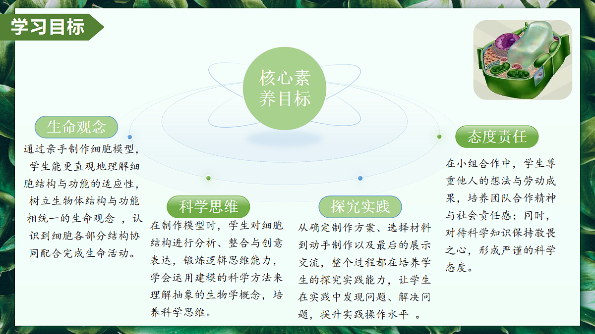第一单元 第三章 综合实践项目 制作细胞模型 - 初中生物七年级上册 同步教学课件(人教版2024)第3页