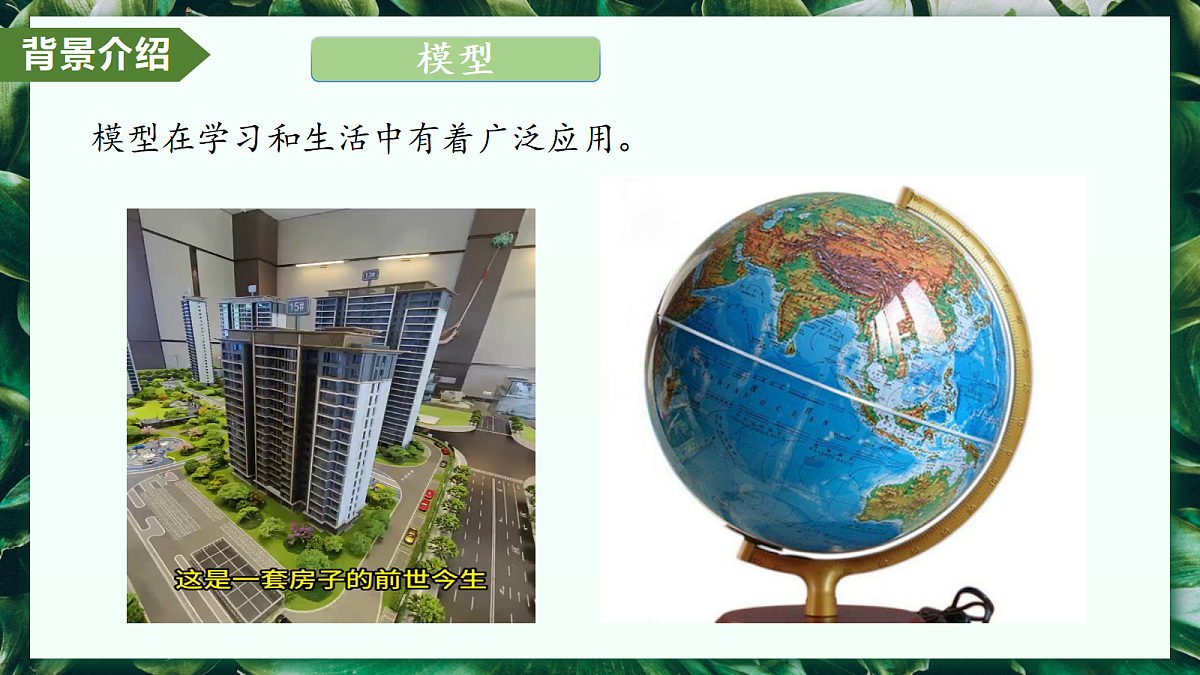 第一单元 第三章 综合实践项目 制作细胞模型 - 初中生物七年级上册 同步教学课件(人教版2024)第5页