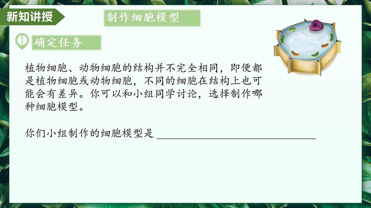 第一单元 第三章 综合实践项目 制作细胞模型 - 初中生物七年级上册 同步教学课件(人教版2024)第7页