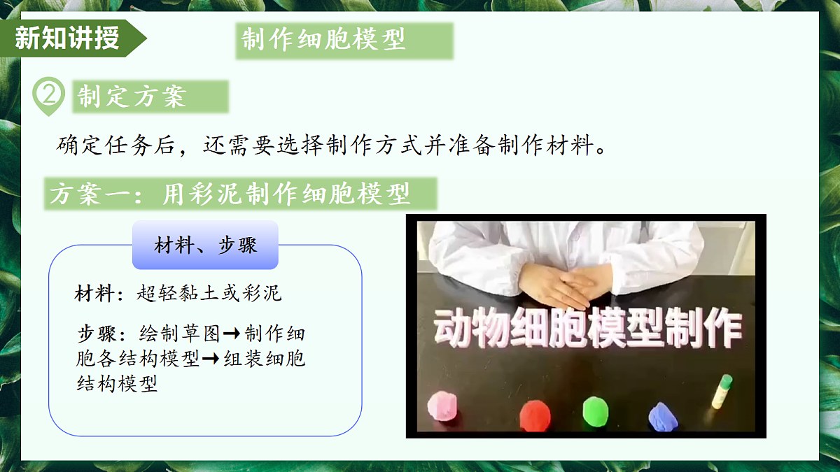第一单元 第三章 综合实践项目 制作细胞模型 - 初中生物七年级上册 同步教学课件(人教版2024)第8页