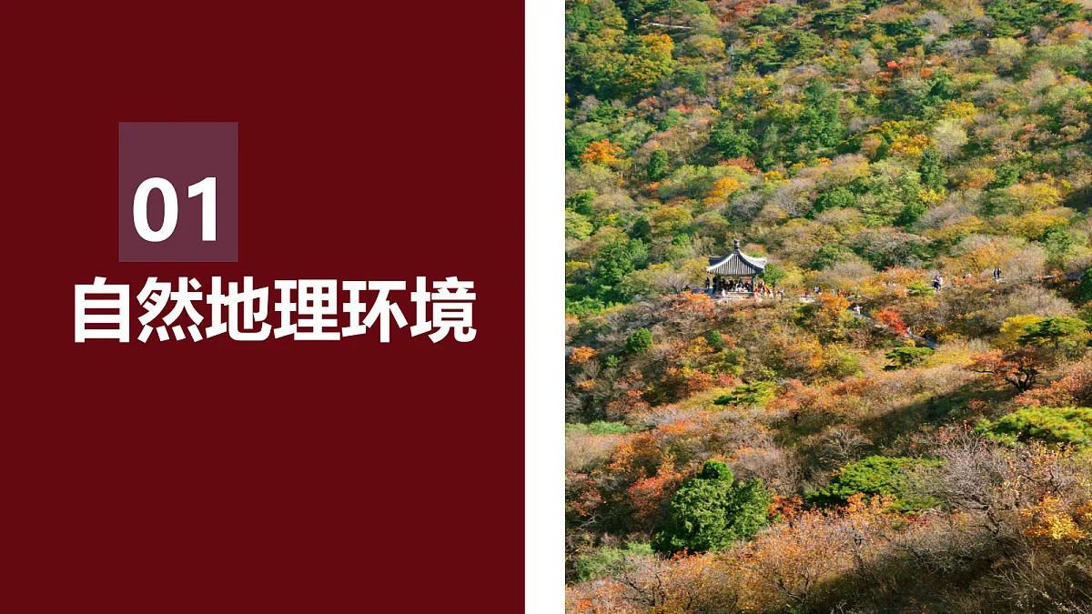 18496158第5页