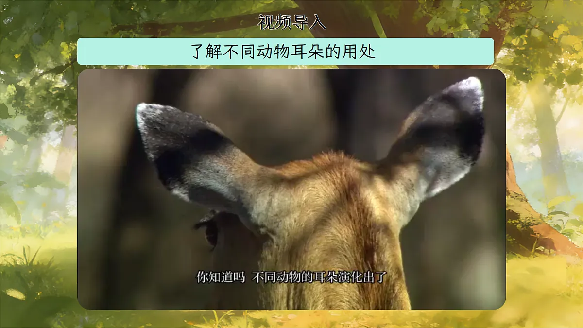 二下第七单元《大象的耳朵》第5页