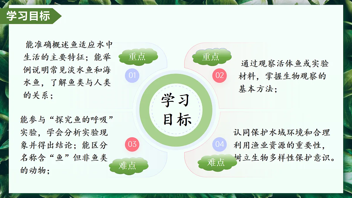 2.2.2 脊椎动物 第1课时 鱼 - 初中生物七年级上册 同步教学课件(人教版2024)第2页