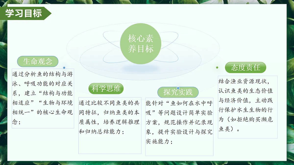 2.2.2 脊椎动物 第1课时 鱼 - 初中生物七年级上册 同步教学课件(人教版2024)第3页