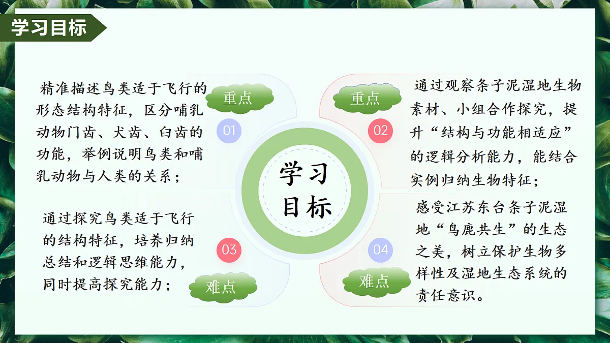 2.2.2 脊椎动物 第3课时 鸟和哺乳动物 - 初中生物七年级上册 同步教学课件(人教版2024)第2页