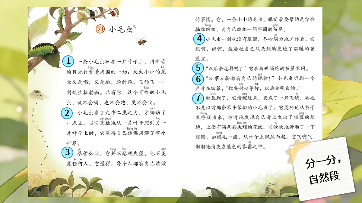 二下单元七《小毛虫》第6页
