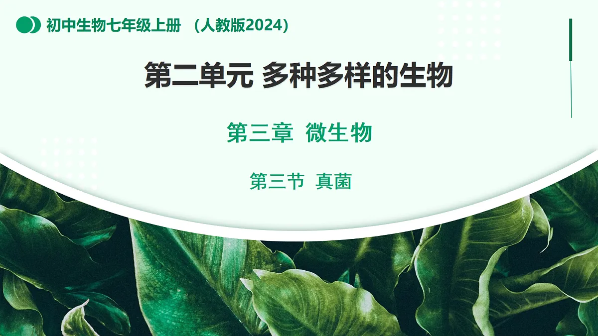2.3.3 真菌 - 初中生物七年级上册 同步教学课件(人教版2024)第1页