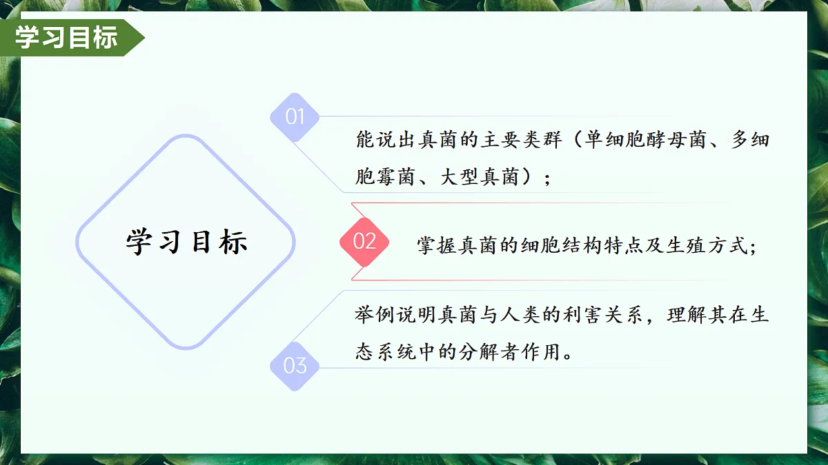 2.3.3 真菌 - 初中生物七年级上册 同步教学课件(人教版2024)第2页