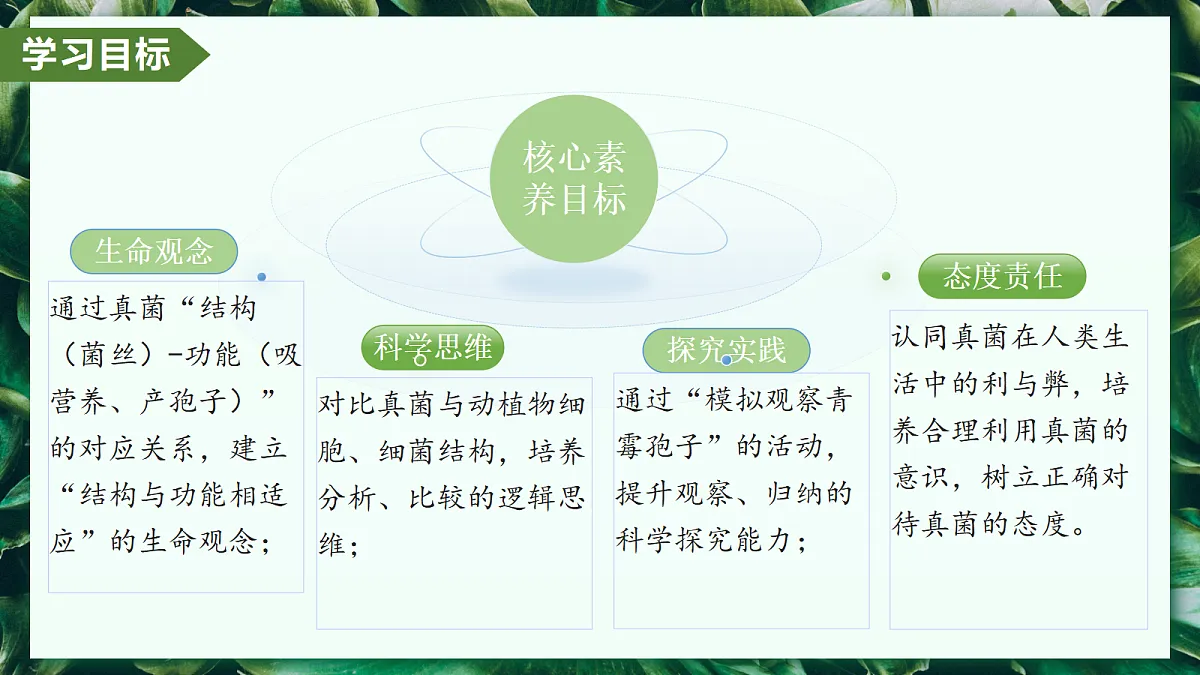 2.3.3 真菌 - 初中生物七年级上册 同步教学课件(人教版2024)第3页