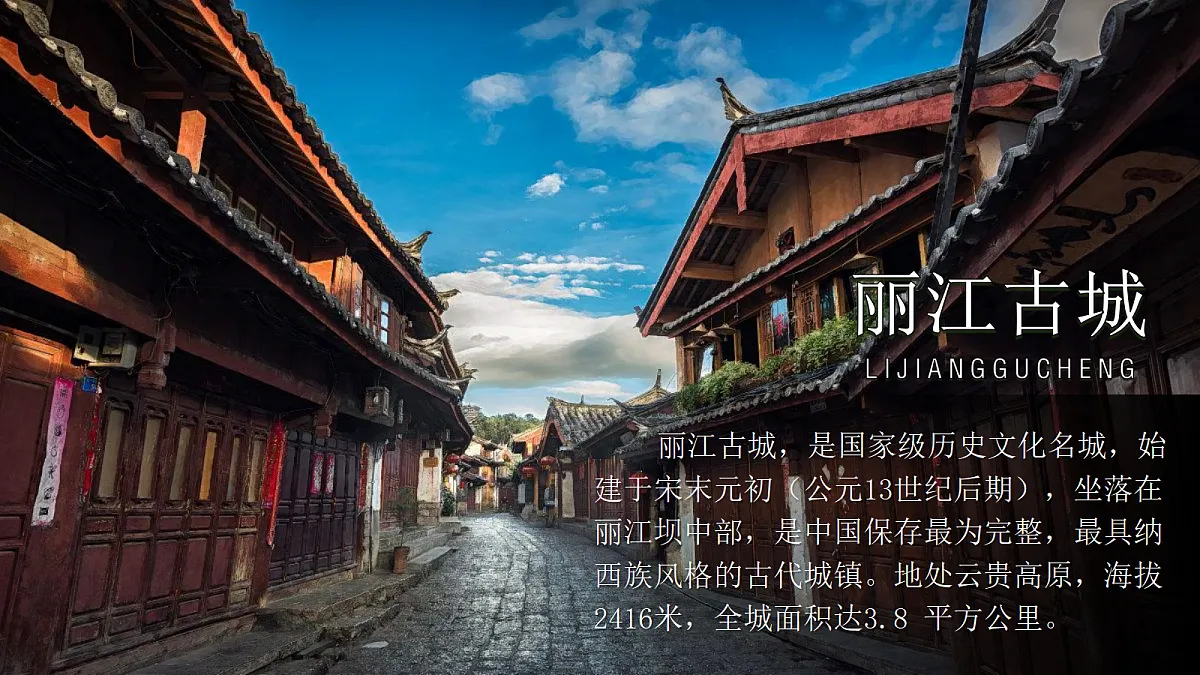 18499228第5页