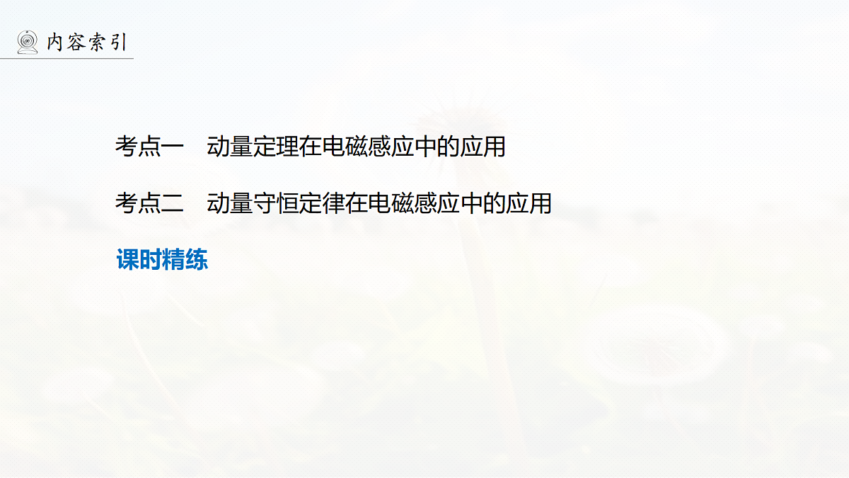 18499264第4页