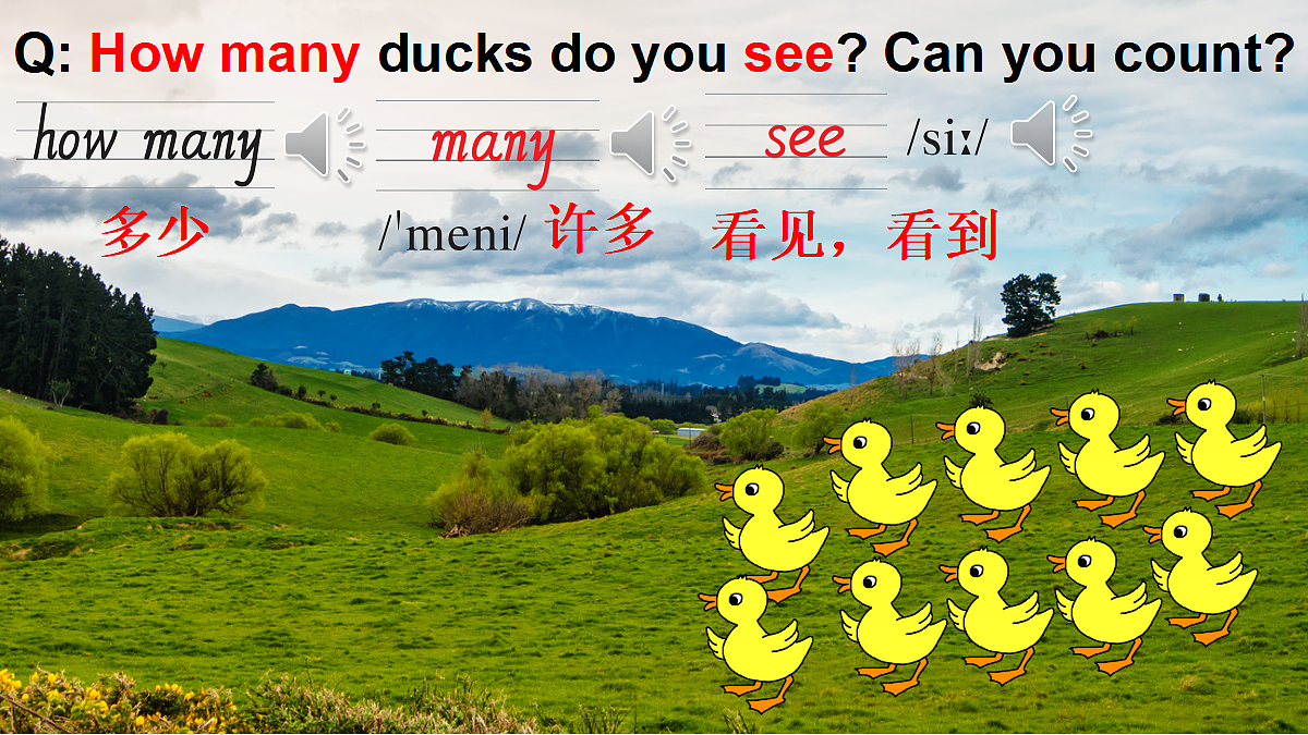 18499662第4页