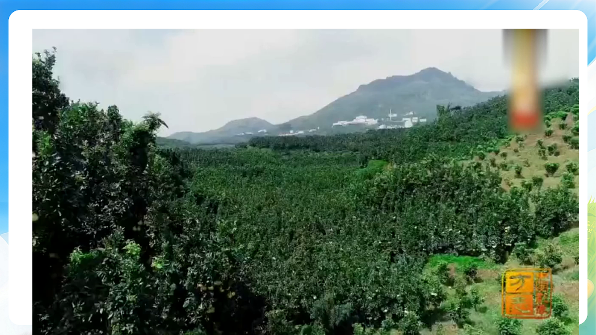 18499685第2页