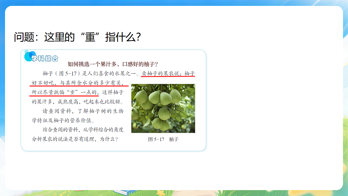 18499685第3页