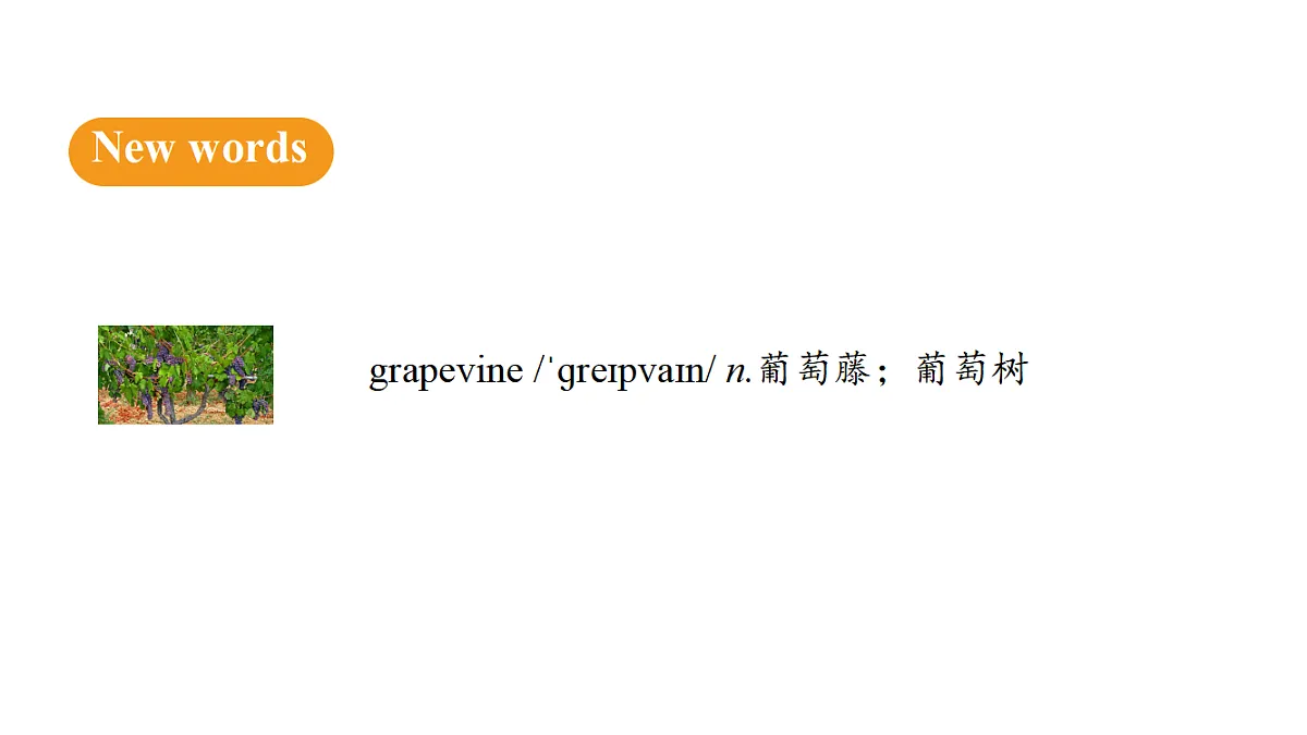 18502460第7页