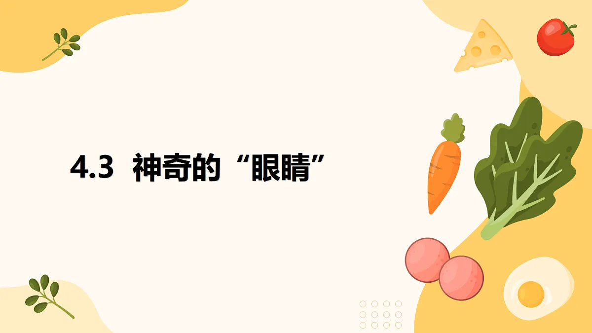 18505334第1页