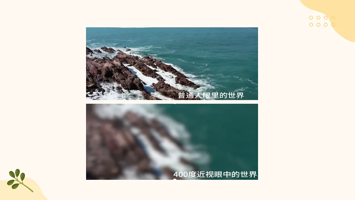 18505334第3页