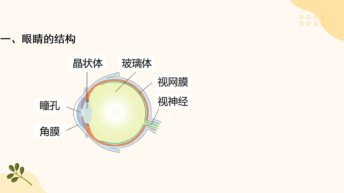 18505334第4页