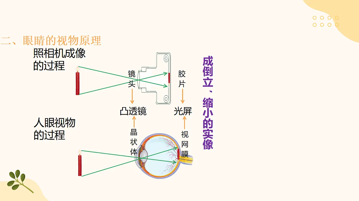 18505334第6页