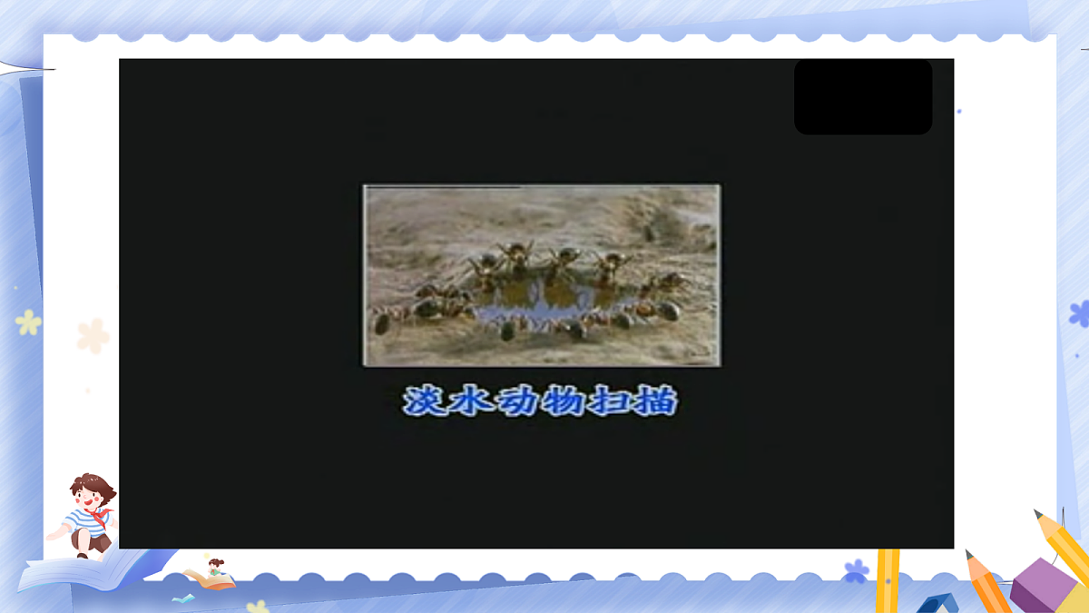 18505501第4页