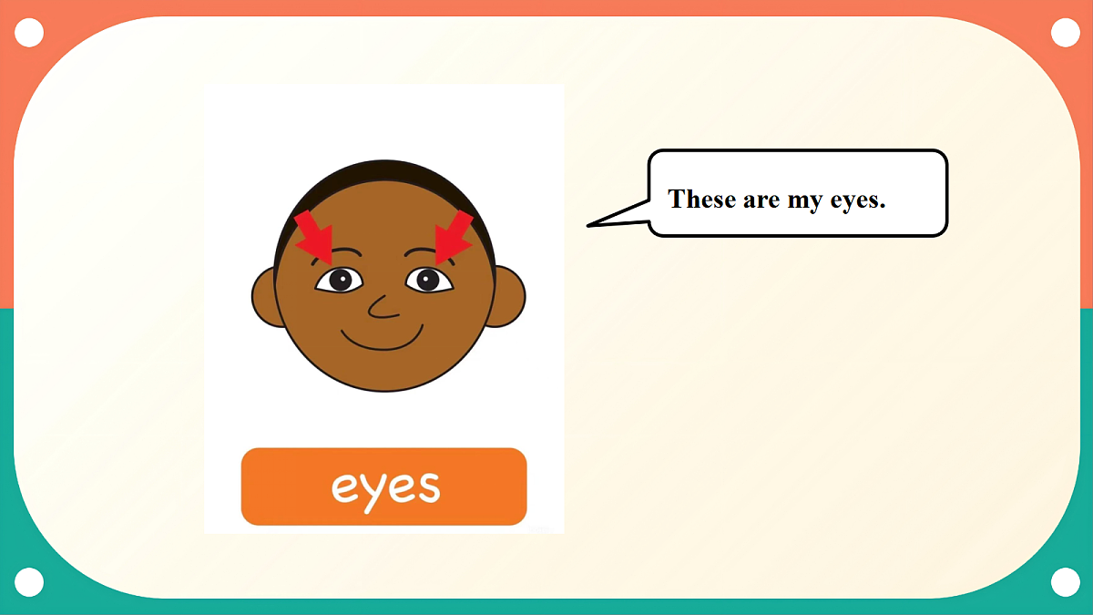 沪教牛津版(六三制一起)英语三上 Unit 3《What do we look like?》Period 3 Communicat 课件第5页