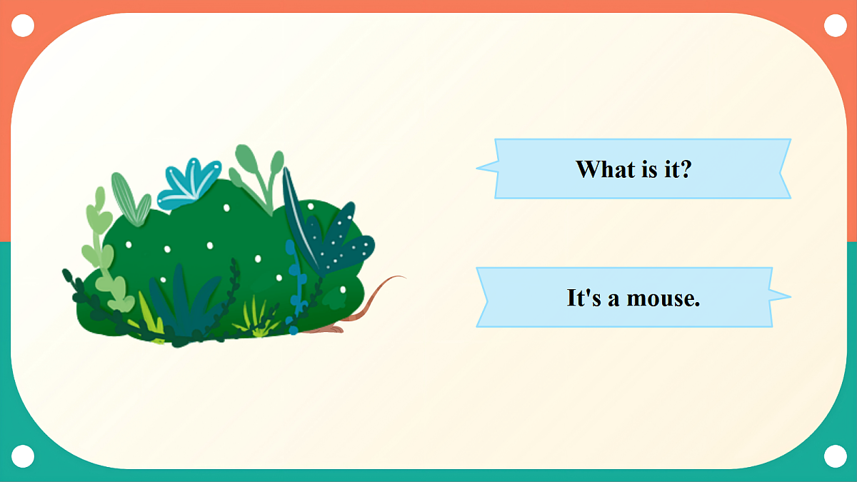 沪教牛津版(六三制一起)英语三上 Unit 6《What do we like about small animals?》Period 3 Communicate 课件第5页