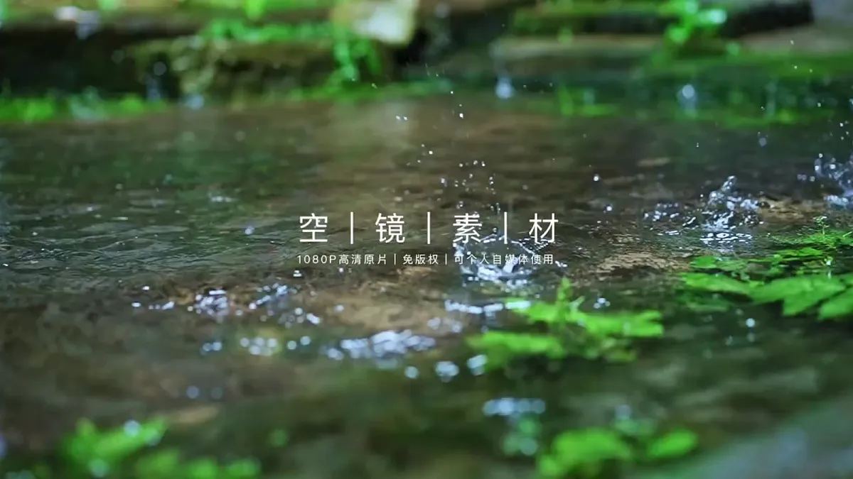 16《盼》第2课时教学课件第6页