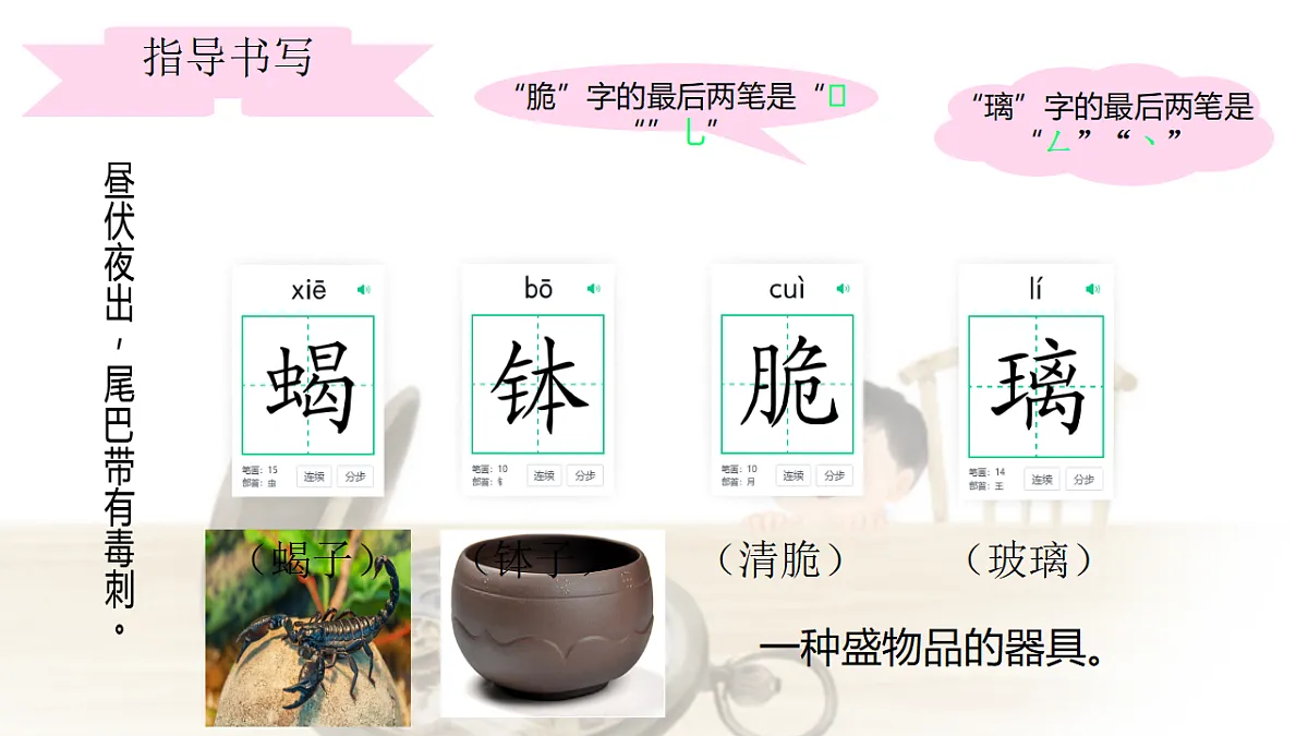 21《表里的生物》教案设计(第1课时)第8页