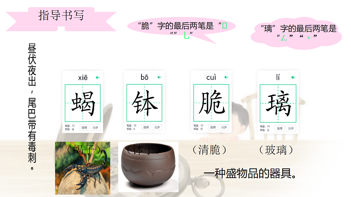 21《表里的生物》教案设计(第1课时)第8页
